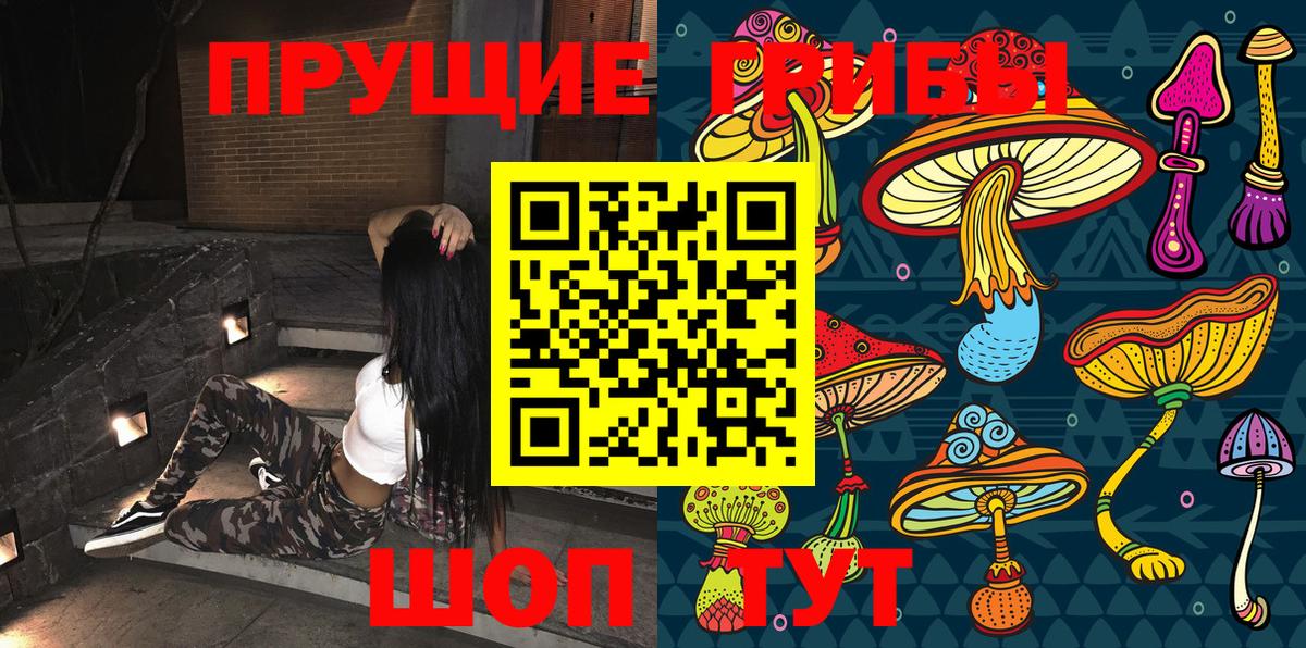 Чистополь  Псилоцибиновые грибы Cubensis  Галлюциногенные грибы Cubensis  Вход с VPN 